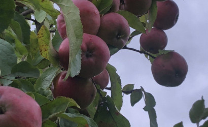 Купить дом в деревне, Радуга, 10 соток. Фото 2