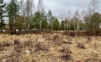 Купить участок, Ореховая Роща, 8 соток. Фото 2