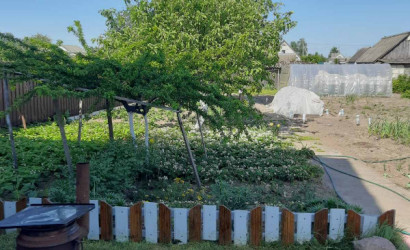 Купить коттедж, Михайловка, аг. Михайловка, Светлогорский р-н до парич 8 км,светлогорск 33км,бобруйск 40 км, 10 соток. Фото 2