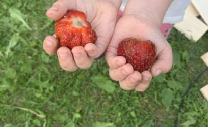 Купить дом в деревне, Дворица, Школьная, 4, 40 соток. Фото 13