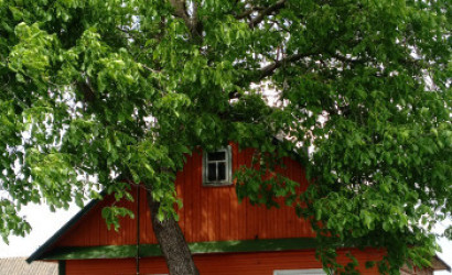 Купить дом в деревне, Самаровичи, Центральная, 30 соток. Фото 3
