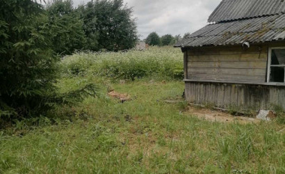 Купить дом, Рожново, 25 соток. Фото 2