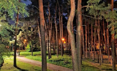 Купить 1-комнатную квартиру, Минск, Шишкина ул., 20/4 (Заводской район). Фото 15