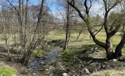  1-этаж.(72.5 м2), Логоза