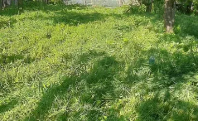  Острошицкий Городок(Ленинская ул., 65)