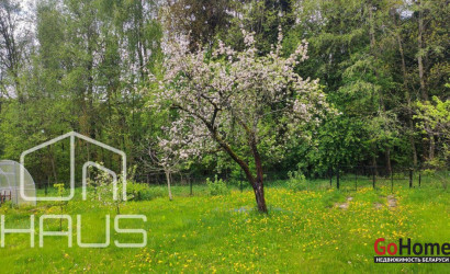 Купить дом в деревне, Гаяны, 9.5 соток. Фото 3