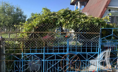 Купить дачу, Брест, Знаменский с/с, 5.42 соток. Фото 17