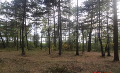 Купить коттедж, Сосенка, Приозерная 31,33, 30 соток. Фото 10