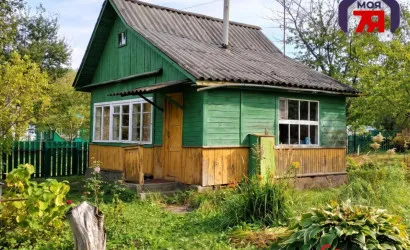  1-этаж.(30.2 м2), Связист-Плюс