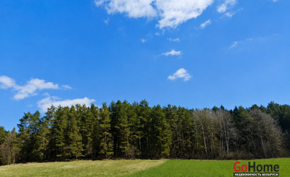 Купить участок, Вяча, ул. Лесная, д. 12, 20 соток. Фото 9