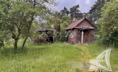 Купить участок, Гули, Мухавецкий с/с, 25 соток. Фото 4