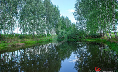 Купить участок, АНТОСИНО, 10 соток. Фото 12