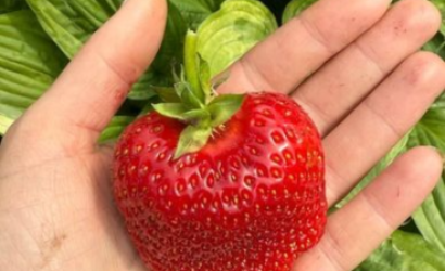 Купить дом в деревне, Лыковичи, Лыковичи, 84, 17 соток. Фото 18