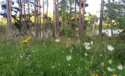  2-этаж.(180 м2), Постаринье(Центральная)