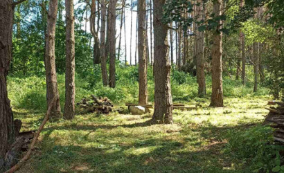 Купить дом, Наумовичи, Лесная ул., 29, 25 соток. Фото 10