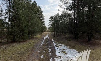 Купить участок, Дубица, Домачевский с/с, 24.9 соток. Фото 10