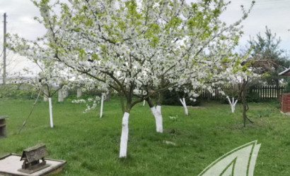 Купить дом, Шпитали, Степанковский с/с, 25 соток. Фото 18