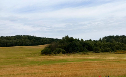 Купить дом, Каниковичи, Луговая ул., 4, 25 соток. Фото 19