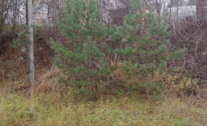 Купить дом, Октябрьская, Васильковая ул., 15 соток. Фото 11