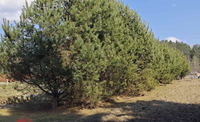 Купить участок, Мочаны, Заречная, 33Б, 11.94 соток. Фото 3