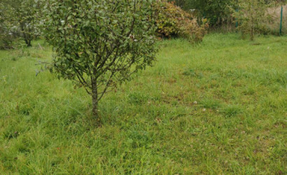 Купить участок, Молодечно, СТ Рамонак-МАЗ уч.41, 10 соток. Фото 3