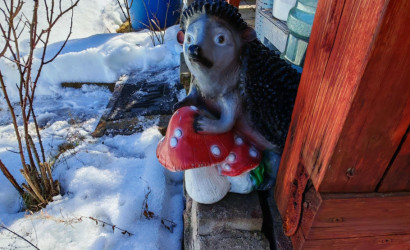 Купить дом в деревне, ЛЕСНОЕ-90, Сиреневая, 160, 8.92 соток. Фото 5