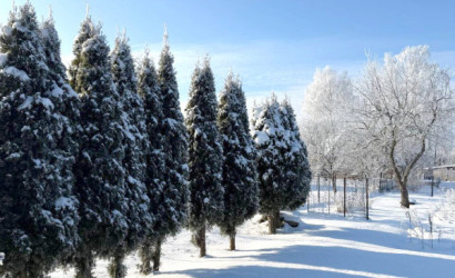 Купить участок, Лида, Митрополита Филарета, 6.07 соток. Фото 1