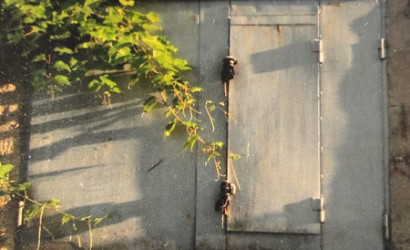 Купить дачу, Зеленая Поляна, 6.33 соток. Фото 1