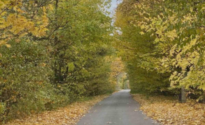 Купить участок, КВЕТКА 92, 8 соток. Фото 3