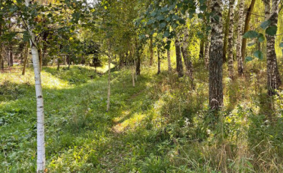 Купить дом, Осиновка, 1-й Осиновский, 3, 24.99 соток. Фото 5