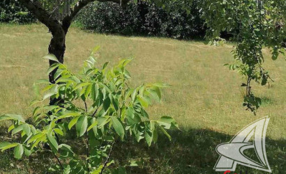 Купить участок, Брест, Чернавчицкий с/с, 8.2 соток. Фото 4