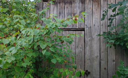 Купить 1-комнатную квартиру, Россь, ул. Совхозная, 3. Фото 15