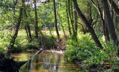 Купить участок, Боярск, 17, 25 соток. Фото 7
