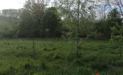 Купить участок, Большие Летцы, Советская 1В, 50 соток. Фото 4