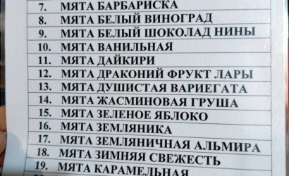 Купить дом в деревне, Нефтяник-3 ОАО Нафтан, 10.77 соток. Фото 46