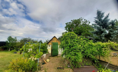 Купить дачу, Колос, 7 соток. Фото 15