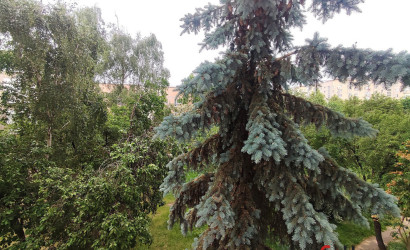 Купить 2-комнатную квартиру, Гродно, Ленинского Комсомола, 40. Фото 10