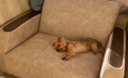 Купить 2-комнатную квартиру, Петришки, Гагарина. Фото 6