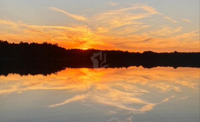 Купить дом, Товщина, 25 соток. Фото 11