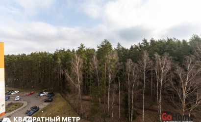 Купить 1-комнатную квартиру, Лесной, Александрова ул., 8. Фото 13