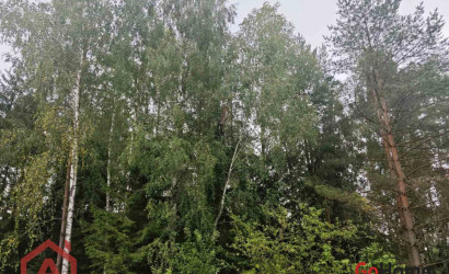 Купить участок, Мончаки, Лесная, 15 соток. Фото 8