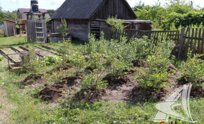 Купить дом в деревне, Домачево, Домачевский с/с, 11.64 соток. Фото 23