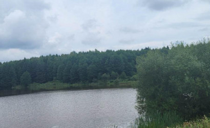 Купить дом, Швабы, Банный пер., 10 соток. Фото 11