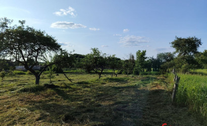 Купить участок, Чемери 1, Вишнёвая ул, 27, деревня Чемери 1, Речицкий сельсовет, Каменецкий район, Брестская область, 50 соток. Фото 3