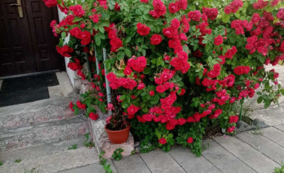 Купить дом, Феликсово, 23.5 соток. Фото 10