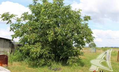 Купить дом, Озяты, Озятский с/с, 18 соток. Фото 7