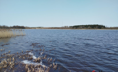 Купить дом, Дайнова, 22.3 соток. Фото 5