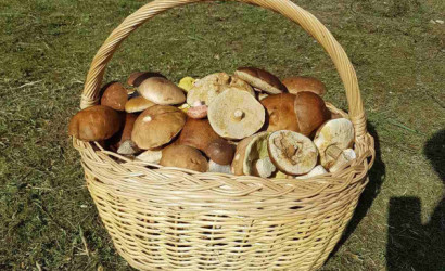 Купить дом, Потино, 12.1 соток. Фото 1