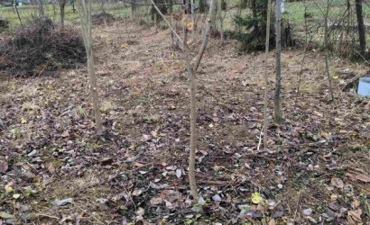 Купить участок, Лесное-90, 7.9 соток. Фото 2