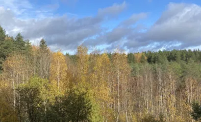  49.3 м2, Лесной(Мирная 8)